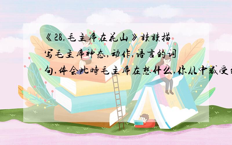 《28.毛主席在花山》读读描写毛主席神态,动作,语言的词句,体会此时毛主席在想什么,你从中感受到什么?