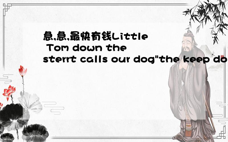 急,急,最快有钱Little Tom down the sterrt calls our dog