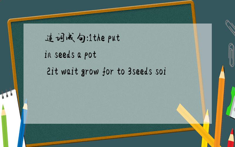 连词成句：1the put in seeds a pot 2it wait grow for to 3seeds soi