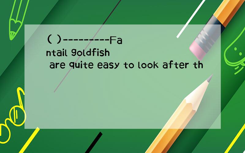 ( )---------Fantail goldfish are quite easy to look after th