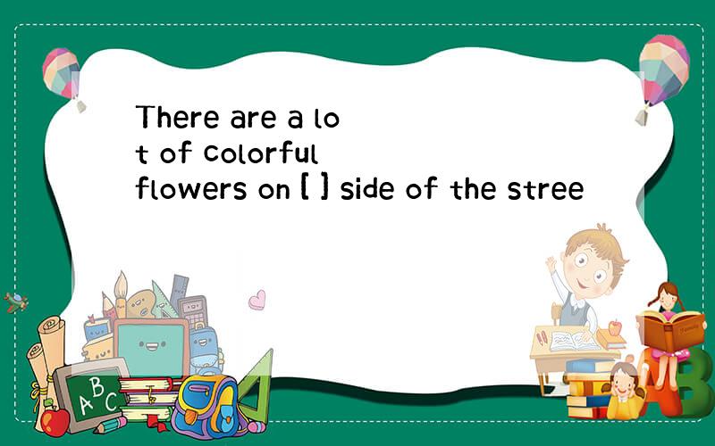 There are a lot of colorful flowers on [ ] side of the stree