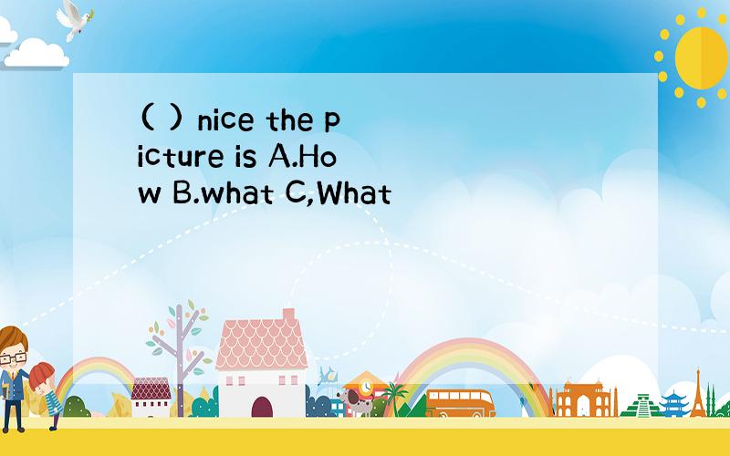 ( ) nice the picture is A.How B.what C,What