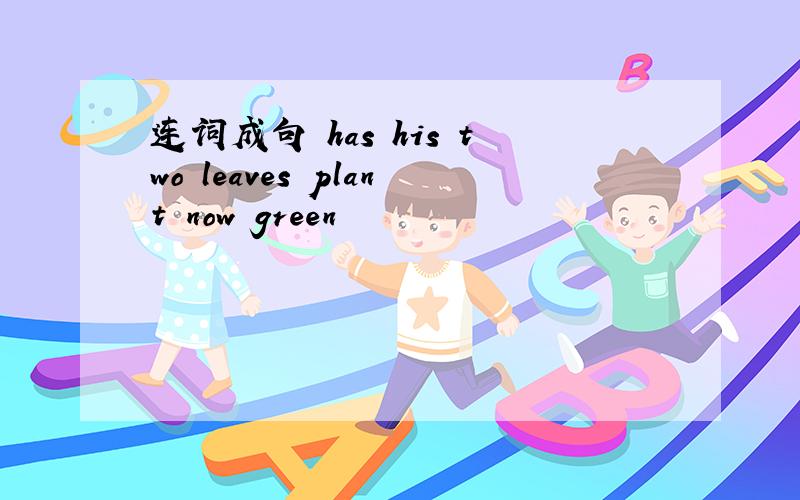连词成句 has his two leaves plant now green