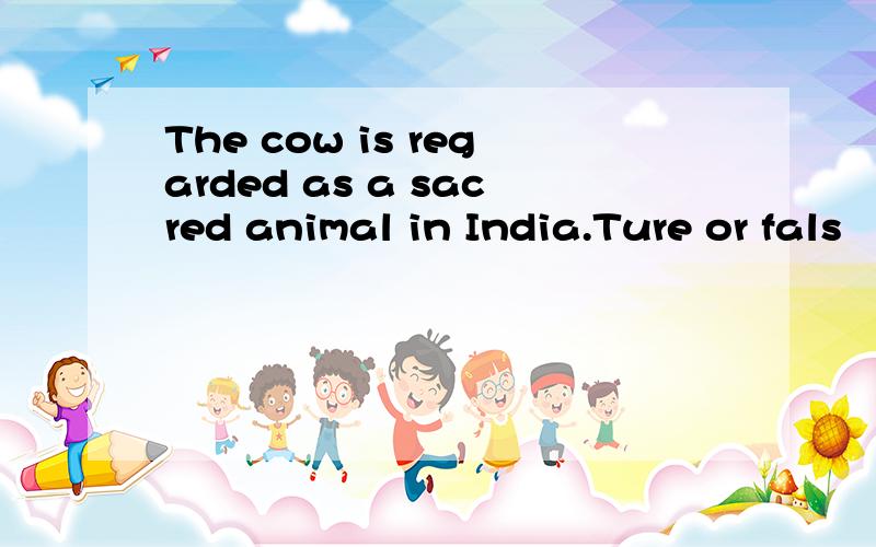 The cow is regarded as a sacred animal in India.Ture or fals