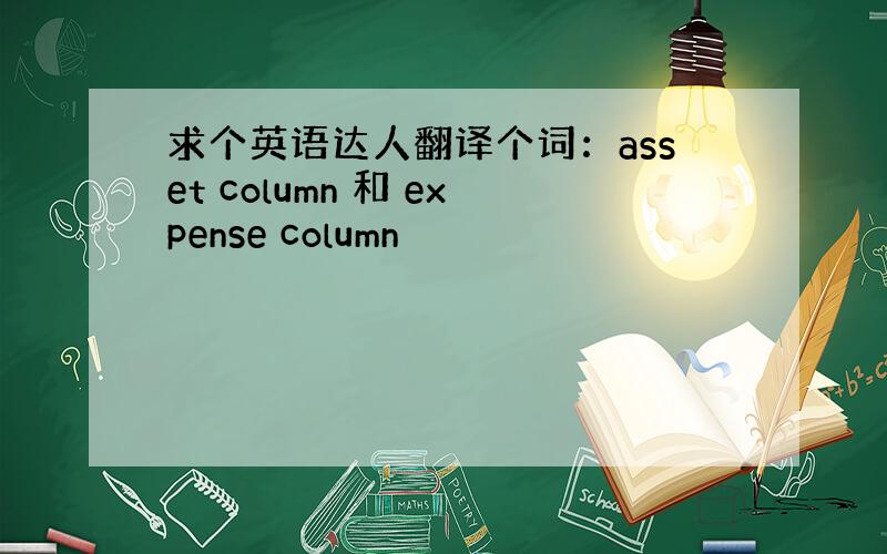 求个英语达人翻译个词：asset column 和 expense column