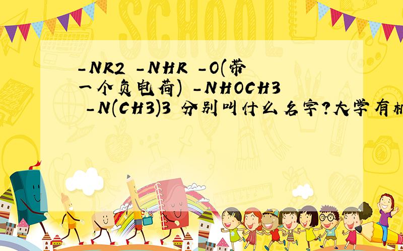 -NR2 -NHR -O(带一个负电荷) -NHOCH3 -N(CH3)3 分别叫什么名字?大学有机化学