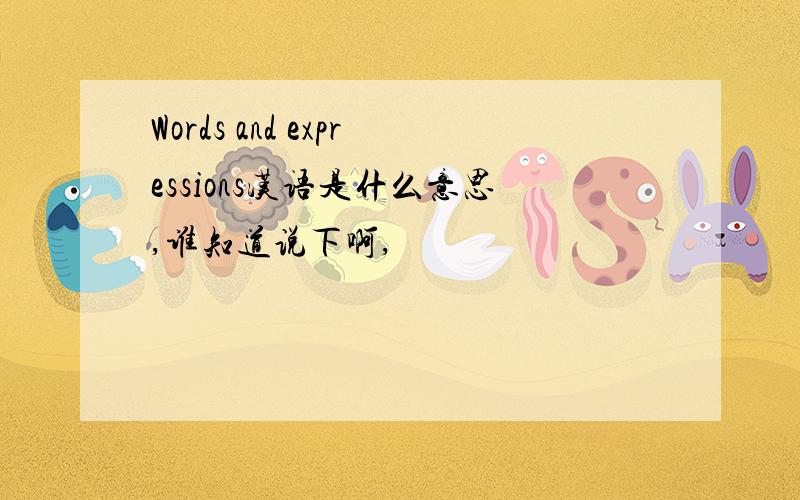 Words and expressions汉语是什么意思,谁知道说下啊,