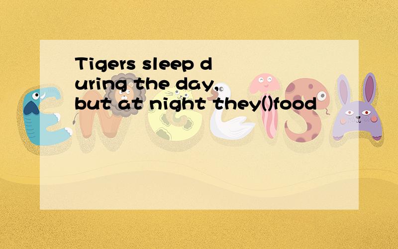 Tigers sleep during the day,but at night they()food