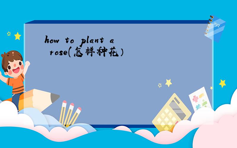 how to plant a rose(怎样种花）