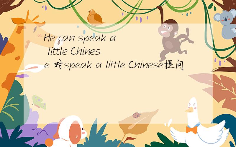 He can speak a little Chinese 对speak a little Chinese提问
