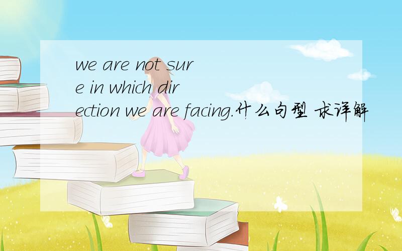 we are not sure in which direction we are facing.什么句型 求详解