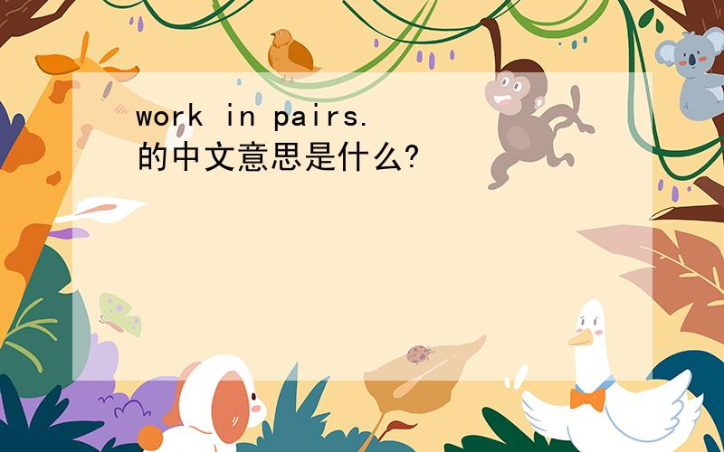 work in pairs.的中文意思是什么?