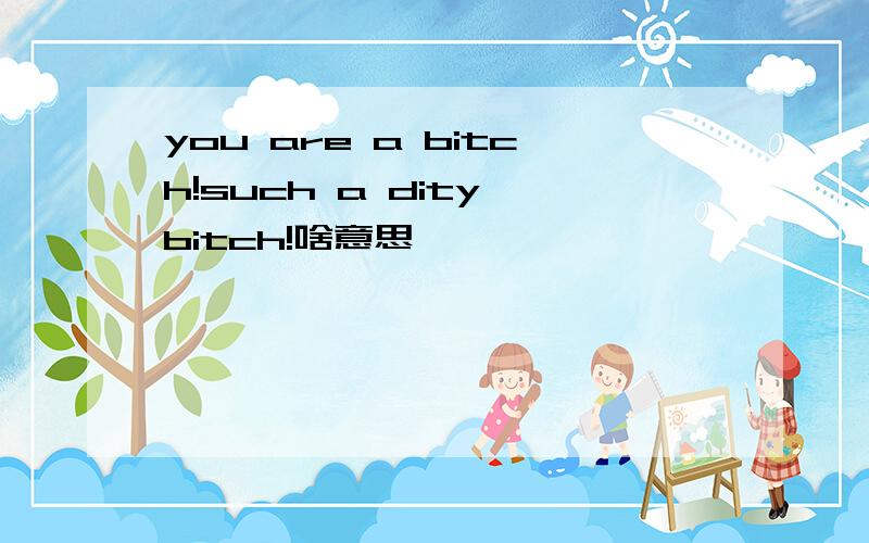 you are a bitch!such a dity bitch!啥意思