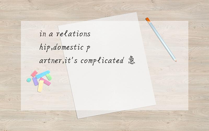 in a relationship,domestic partner,it's complicated 急