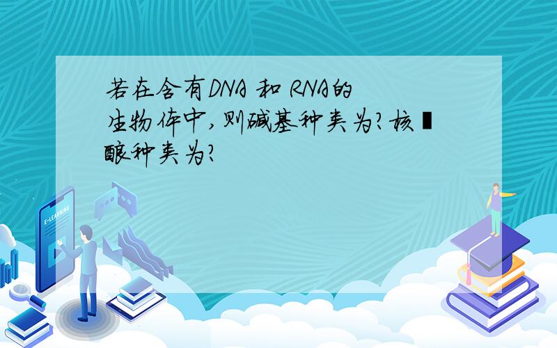 若在含有DNA 和 RNA的生物体中,则碱基种类为?核苷酸种类为?