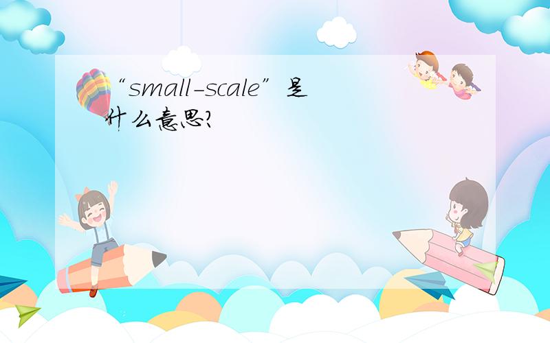 “small-scale”是什么意思?