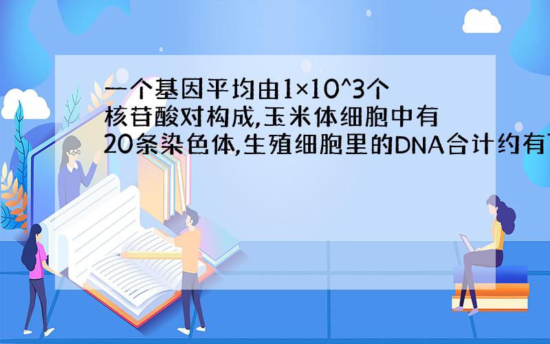 一个基因平均由1×10^3个核苷酸对构成,玉米体细胞中有20条染色体,生殖细胞里的DNA合计约有7×10^9个核苷酸对,