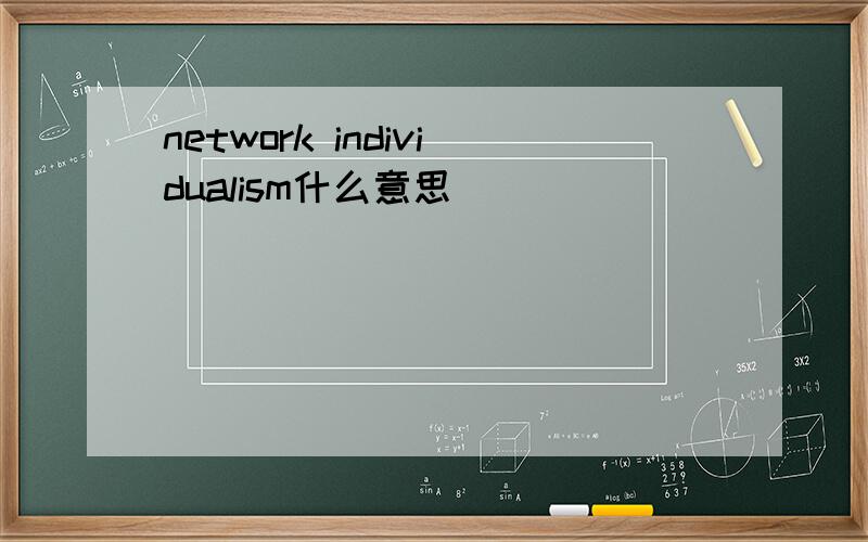 network individualism什么意思