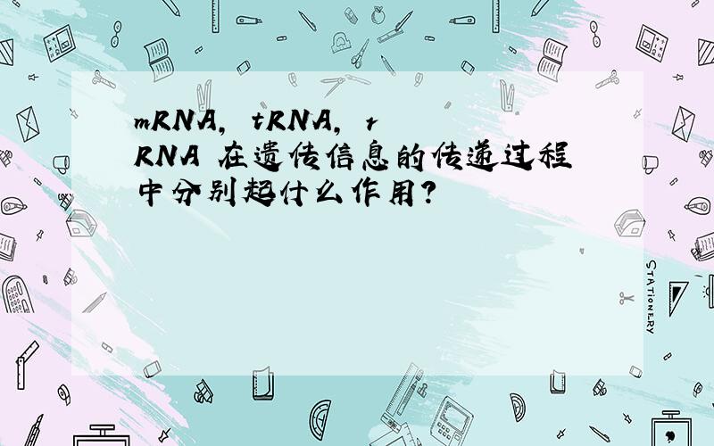 mRNA, tRNA, r RNA 在遗传信息的传递过程中分别起什么作用?