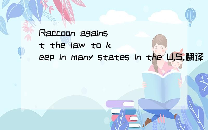 Raccoon against the law to keep in many states in the U.S.翻译