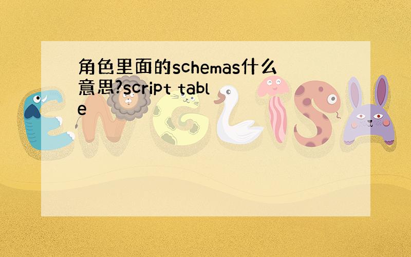 角色里面的schemas什么意思?script table