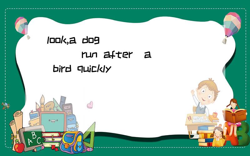 look,a dog _____(run after)a bird quickly