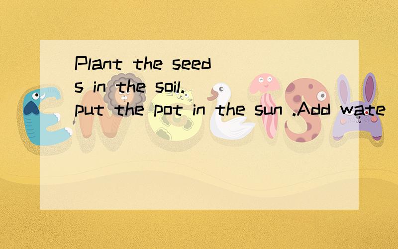 Plant the seeds in the soil.put the pot in the sun .Add wate