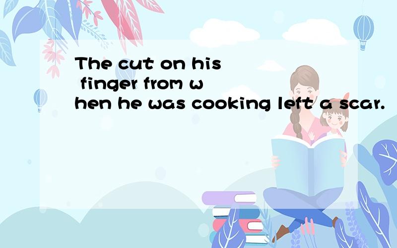 The cut on his finger from when he was cooking left a scar.