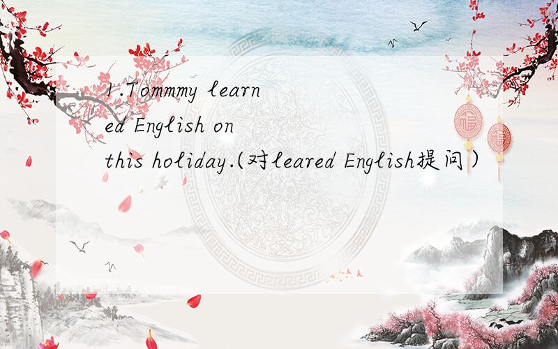 1.Tommmy learned English on this holiday.(对leared English提问）