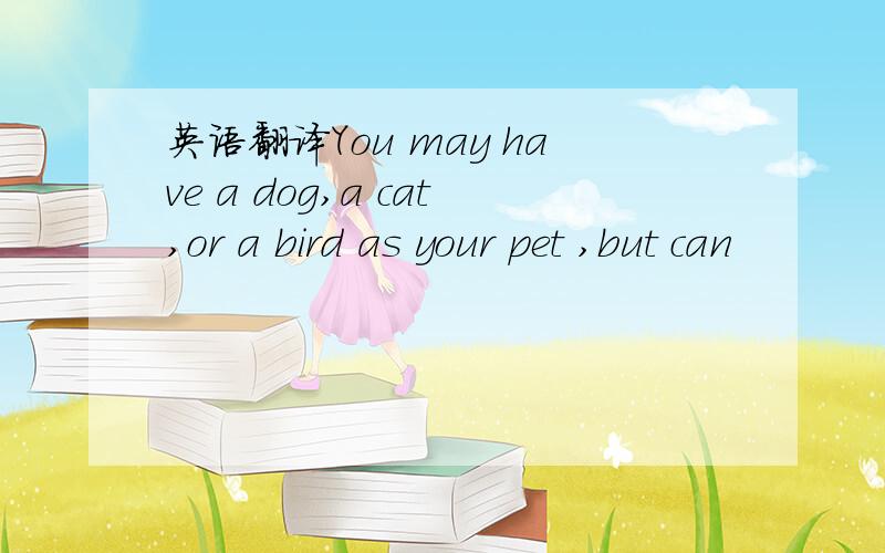 英语翻译You may have a dog,a cat,or a bird as your pet ,but can