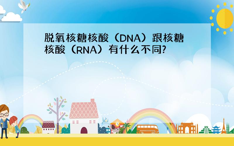 脱氧核糖核酸（DNA）跟核糖核酸（RNA）有什么不同?