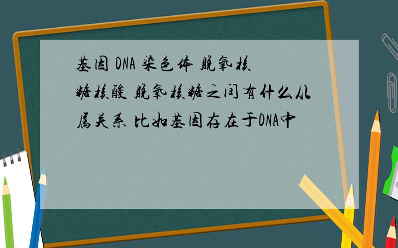 基因 DNA 染色体 脱氧核糖核酸 脱氧核糖之间有什么从属关系 比如基因存在于DNA中