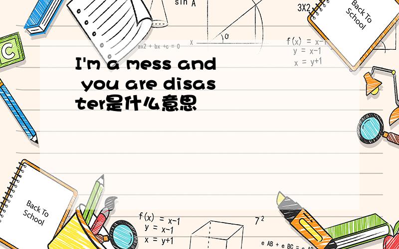 I'm a mess and you are disaster是什么意思