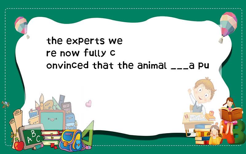 the experts were now fully convinced that the animal ___a pu