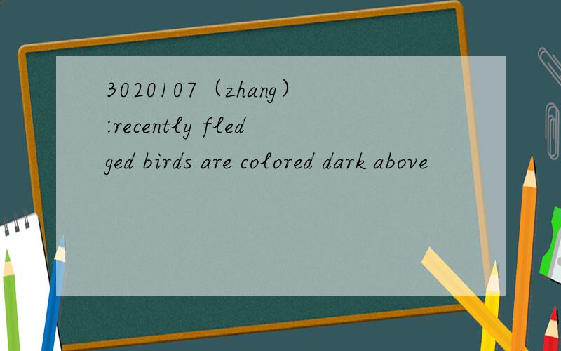 3020107（zhang）:recently fledged birds are colored dark above