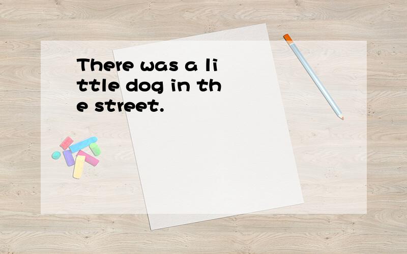 There was a little dog in the street.