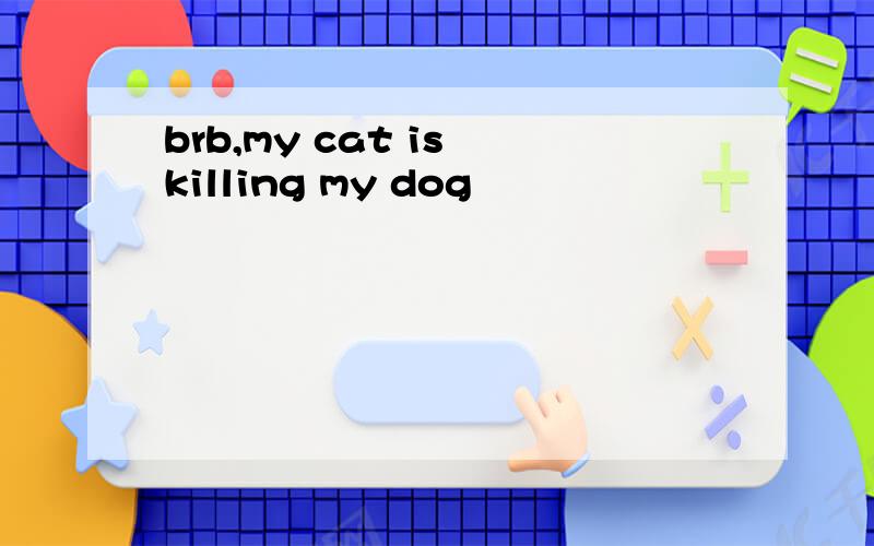 brb,my cat is killing my dog