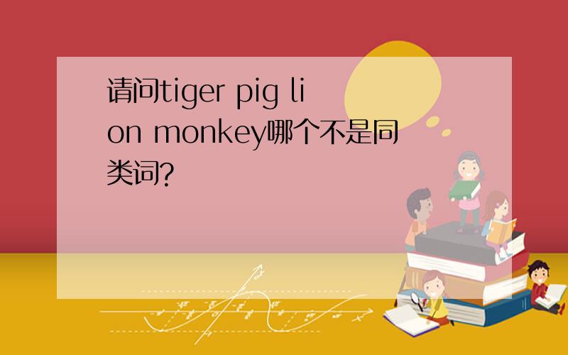 请问tiger pig lion monkey哪个不是同类词?