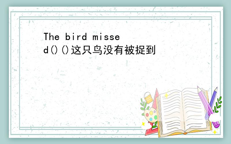 The bird missed()()这只鸟没有被捉到