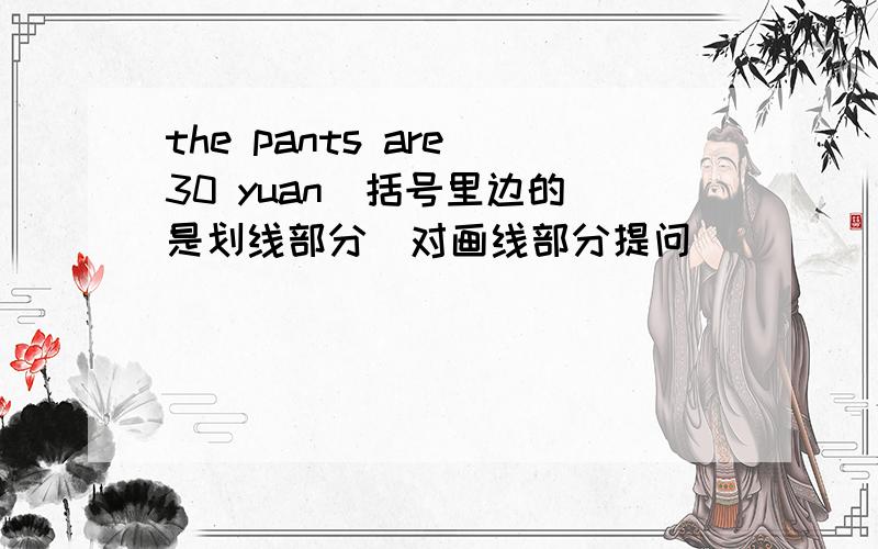 the pants are（30 yuan）括号里边的 是划线部分（对画线部分提问）