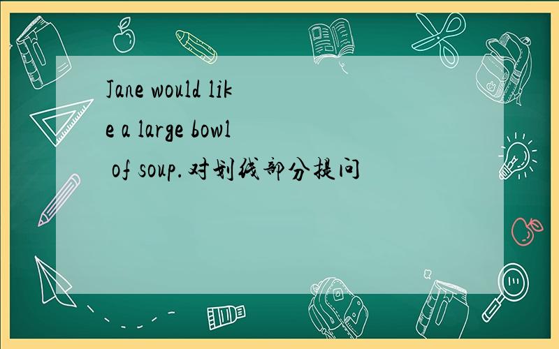 Jane would like a large bowl of soup.对划线部分提问
