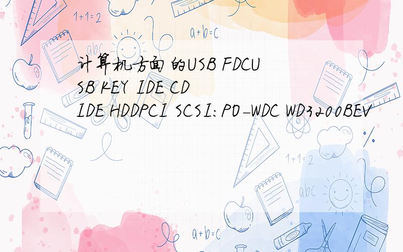 计算机方面的USB FDCUSB KEY IDE CD IDE HDDPCI SCSI:PO-WDC WD3200BEV