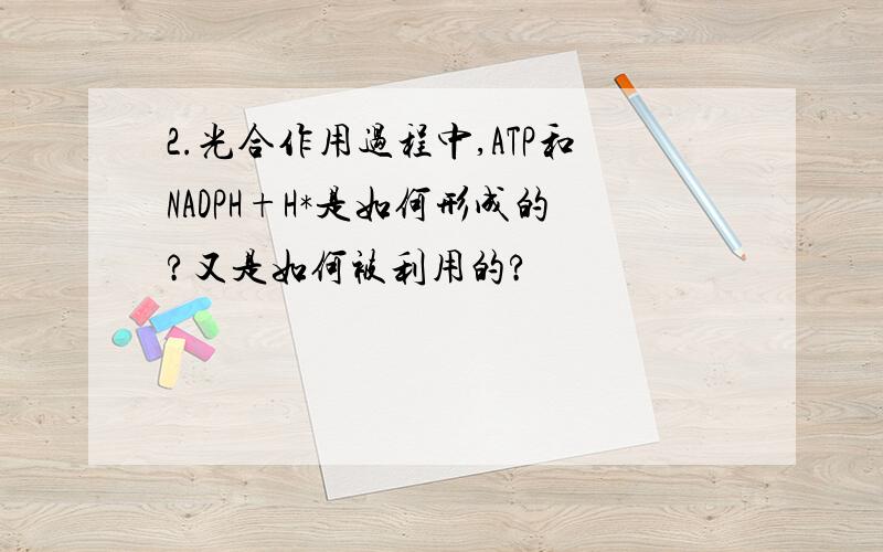 2.光合作用过程中,ATP和NADPH+H*是如何形成的?又是如何被利用的?