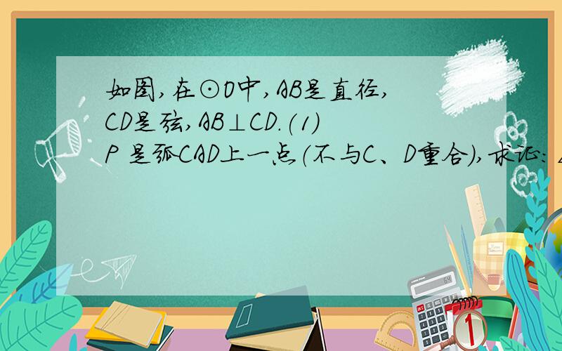 如图,在⊙O中,AB是直径,CD是弦,AB⊥CD.(1)P 是弧CAD上一点（不与C、D重合）,求证：∠CPD=∠COB