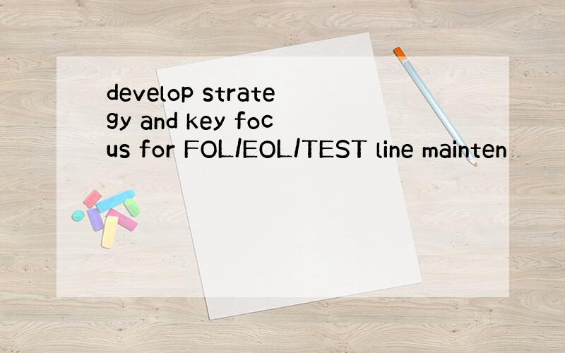 develop strategy and key focus for FOL/EOL/TEST line mainten