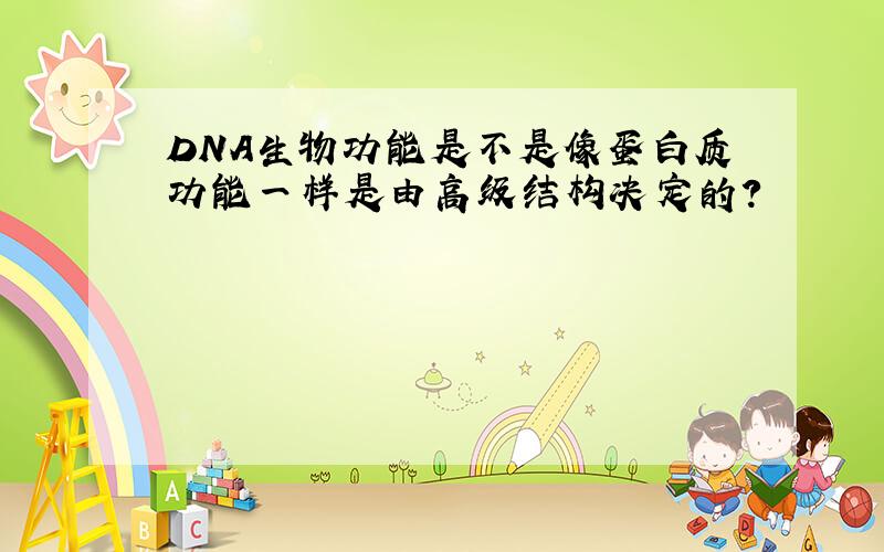 DNA生物功能是不是像蛋白质功能一样是由高级结构决定的?