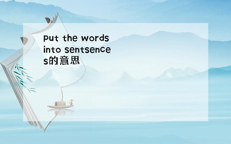 put the words into sentsences的意思