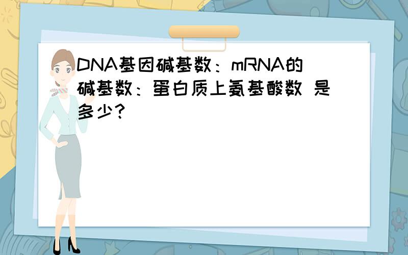 DNA基因碱基数：mRNA的碱基数：蛋白质上氨基酸数 是多少?