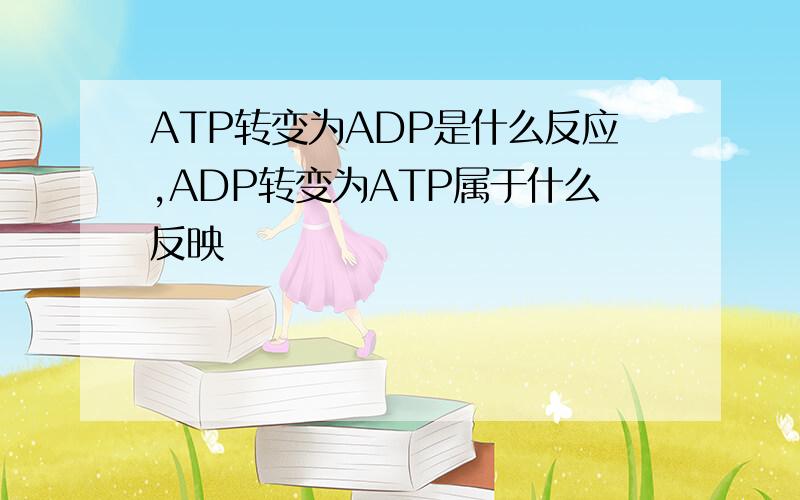 ATP转变为ADP是什么反应,ADP转变为ATP属于什么反映