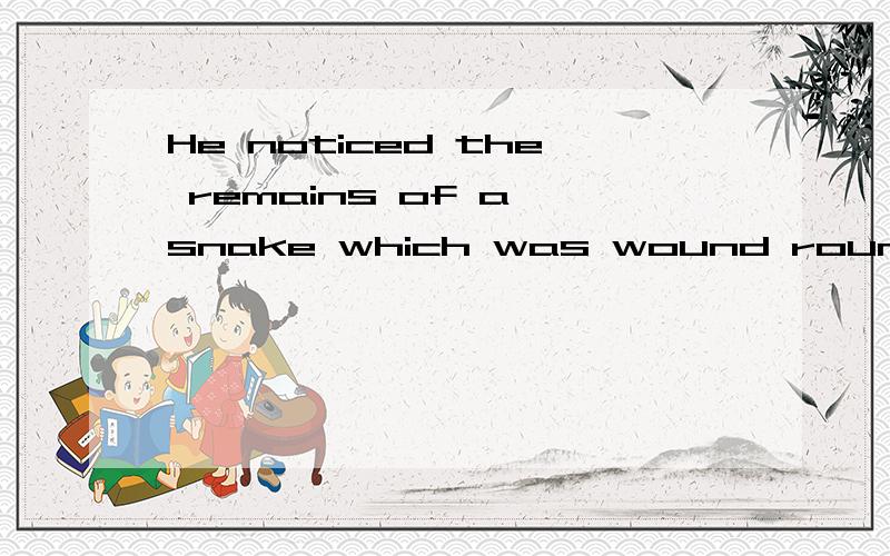 He noticed the remains of a snake which was wound round .我想知